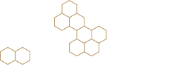 Georgia Tech Business Network