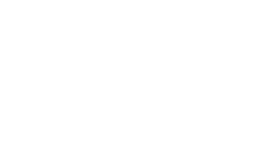 EchoViz